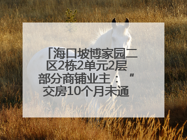海口坡博家园二区2栋2单元2层部分商铺业主：“交房10个月未通自来水”