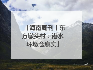 海南周刊丨东方墩头村：港水环墩仓廪实