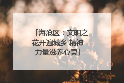 海沧区：文明之花开遍城乡 精神力量滋养心灵
