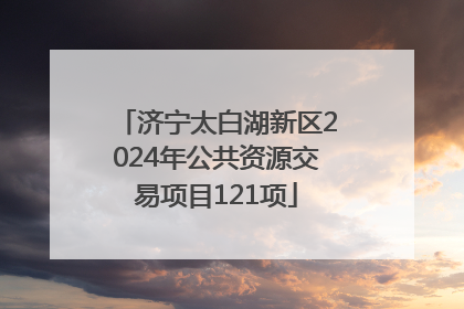 济宁太白湖新区2024年公共资源交易项目121项