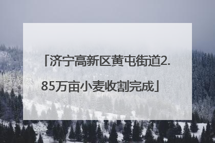 济宁高新区黄屯街道2.85万亩小麦收割完成
