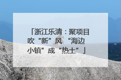 浙江乐清：聚项目吹“新”风 “海边小镇”成“热土”