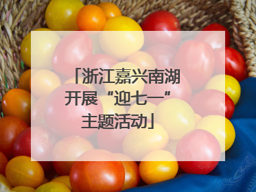 浙江嘉兴南湖开展“迎七一”主题活动