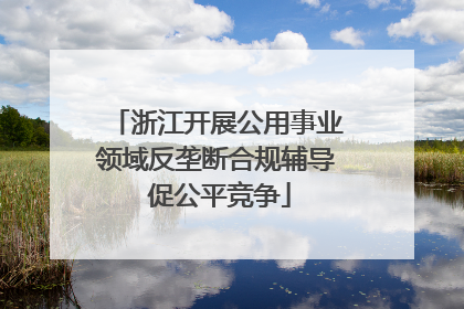 浙江开展公用事业领域反垄断合规辅导 促公平竞争