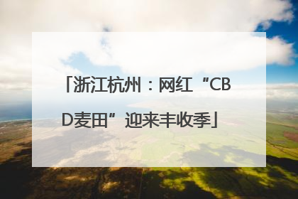 浙江杭州：网红“CBD麦田”迎来丰收季