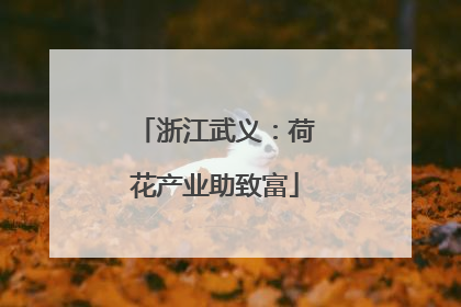 浙江武义：荷花产业助致富