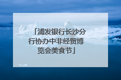 浦发银行长沙分行协办中非经贸博览会美食节