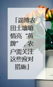 淄博农田土壤墒情亮“黄牌”，农户需关注这些应对措施