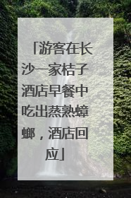 游客在长沙一家桔子酒店早餐中吃出蒸熟蟑螂，酒店回应