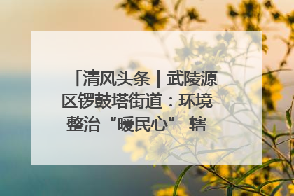 清风头条｜武陵源区锣鼓塔街道：环境整治“暖民心” 辖区面貌“靓”起来