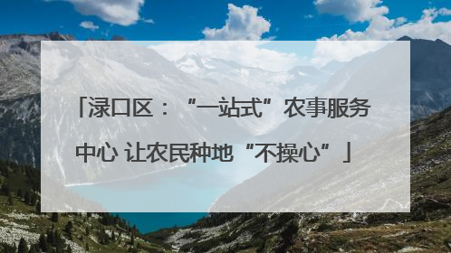 渌口区：“一站式”农事服务中心 让农民种地“不操心”