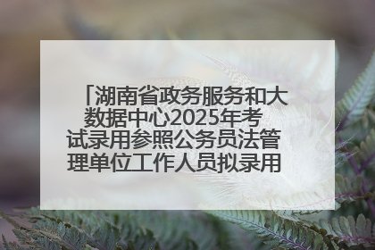 湖南省政务服务和大数据中心2025年考试录用参照公务员法管理单位工作人员拟录用人员名单公示