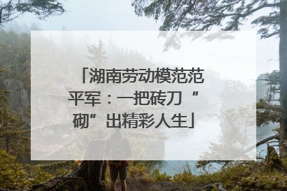 湖南劳动模范范平军：一把砖刀“砌”出精彩人生