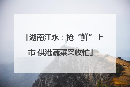 湖南江永：抢“鲜”上市 供港蔬菜采收忙