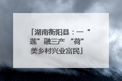 湖南衡阳县：一“莲”融三产 “荷”美乡村兴业富民