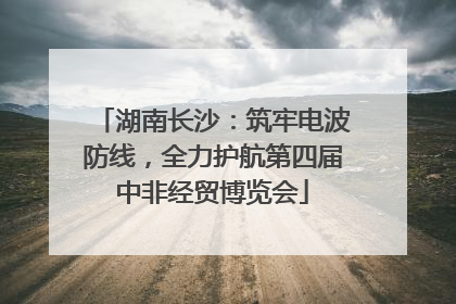 湖南长沙：筑牢电波防线，全力护航第四届中非经贸博览会