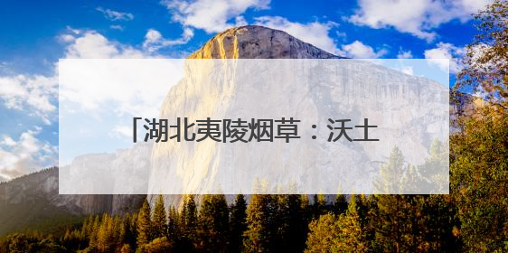湖北夷陵烟草：沃土生芳华 服务绽新篇