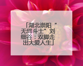 湖北崇阳“无臂斗士”刘细谷：双脚走出大爱人生
