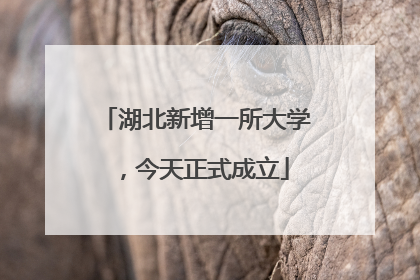 湖北新增一所大学，今天正式成立