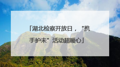 湖北检察开放日，“携手护未”活动超暖心