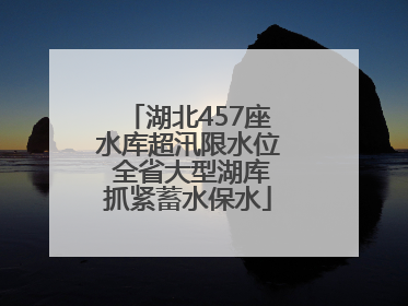 湖北457座水库超汛限水位 全省大型湖库抓紧蓄水保水