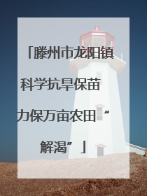 滕州市龙阳镇科学抗旱保苗 力保万亩农田“解渴”