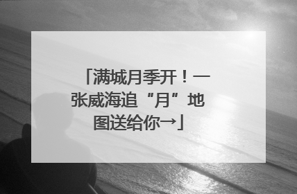 满城月季开！一张威海追“月”地图送给你→