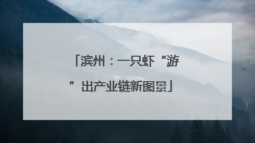 滨州：一只虾“游”出产业链新图景
