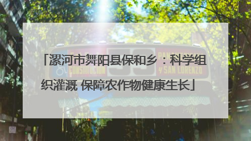 漯河市舞阳县保和乡：科学组织灌溉 保障农作物健康生长