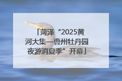 菏泽“2025黄河大集—曹州牡丹园夜游消夏季”开幕