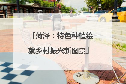 菏泽：特色种植绘就乡村振兴新图景