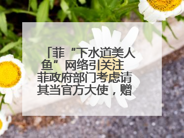 菲“下水道美人鱼”网络引关注 菲政府部门考虑请其当官方大使，赠现金开店