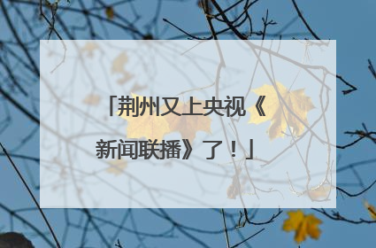 荆州又上央视《新闻联播》了！
