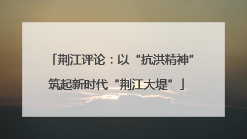 荆江评论：以“抗洪精神”筑起新时代“荆江大堤”