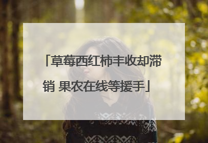 草莓西红柿丰收却滞销 果农在线等援手
