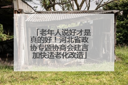 老年人说好才是真的好！河北省政协专题协商会建言加快适老化改造
