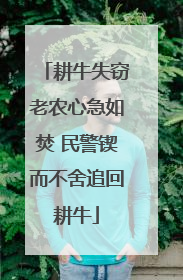 耕牛失窃老农心急如焚 民警锲而不舍追回耕牛