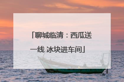 聊城临清：西瓜送一线 冰块进车间