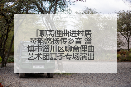 聊斋俚曲进村居 琴韵悠扬传乡音 淄博市淄川区聊斋俚曲艺术团夏季专场演出在杏园子村举行