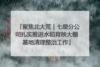 聚焦北大荒｜七星分公司扎实推进水稻育秧大棚基地清理整治工作
