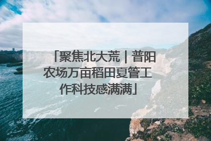 聚焦北大荒｜普阳农场万亩稻田夏管工作科技感满满