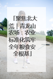 聚焦北大荒｜青龙山农场：农业标准化筑牢全年粮食安全根基