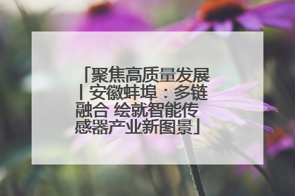 聚焦高质量发展丨安徽蚌埠：多链融合 绘就智能传感器产业新图景