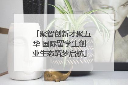 聚智创新才聚五华 国际留学生创业生态筑梦启航