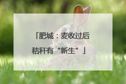 肥城：麦收过后秸秆有“新生”