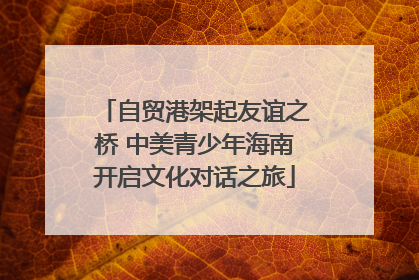 自贸港架起友谊之桥 中美青少年海南开启文化对话之旅