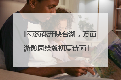 芍药花开映台湖，万亩游憩园绘就初夏诗画