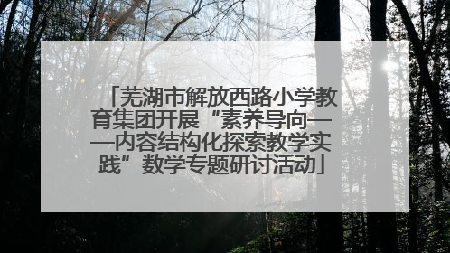 芜湖市解放西路小学教育集团开展“素养导向——内容结构化探索教学实践”数学专题研讨活动
