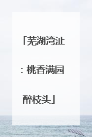 芜湖湾沚：桃香满园醉枝头