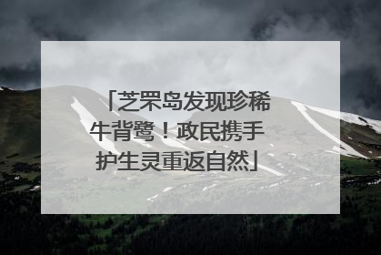 芝罘岛发现珍稀牛背鹭！政民携手护生灵重返自然